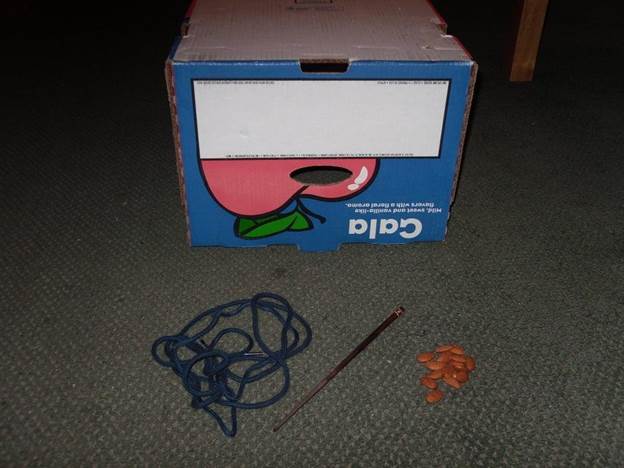 2-DIY-Squirrel-Trap