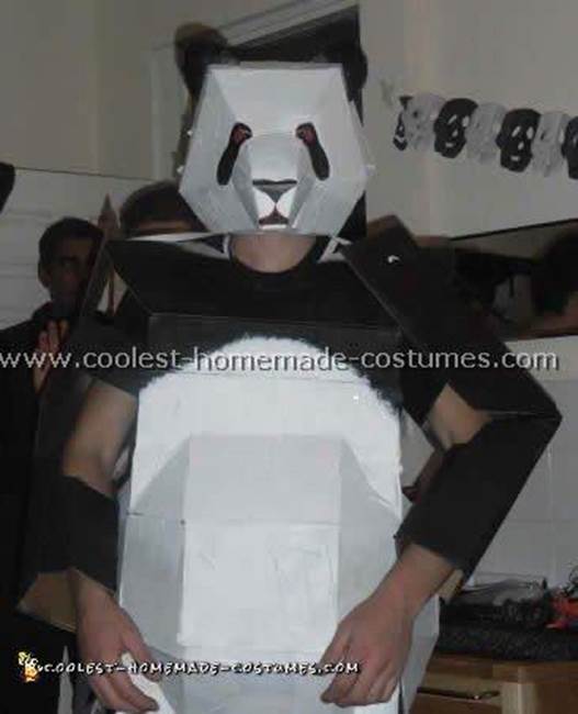 6-Homemade-Panda-Costume