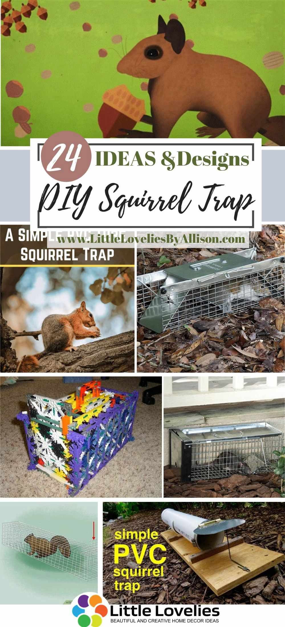 Best-DIY-Squirrel-Trap