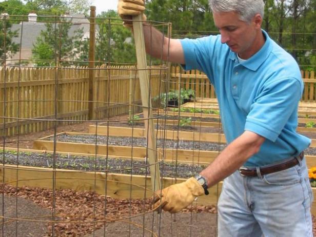 10-How-To-Make-A-Wire-Tomato-Cage