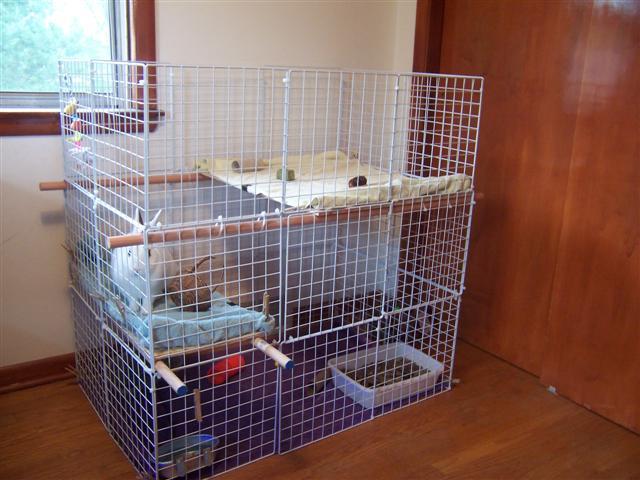 16-How-To-Make-A-Bunny-Cage