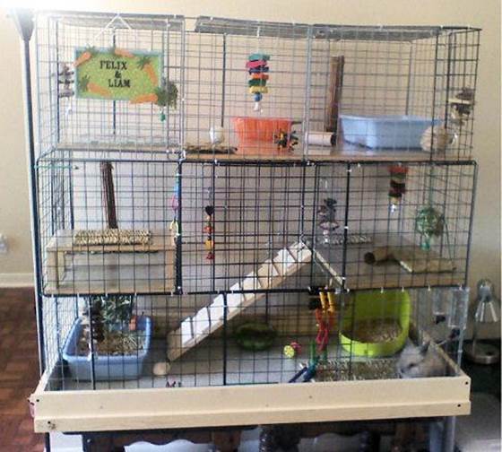 3-DIY-Cube-Rabbit-Cage