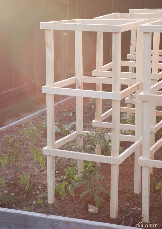 5-DIY-Cages-For-Tomato