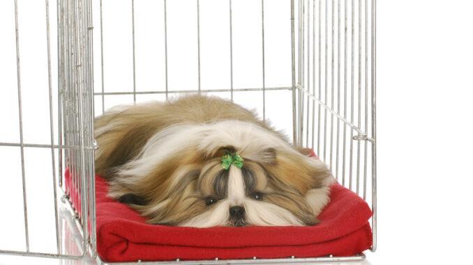 5-Washable-Dog-Crate-Cover
