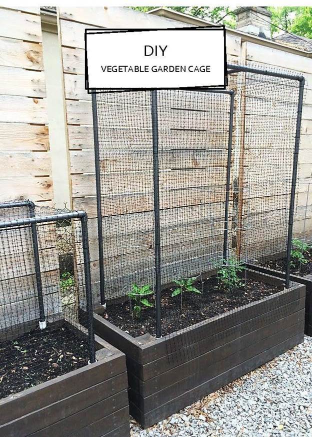 9-DIY-Vegetable-Garden-Cage