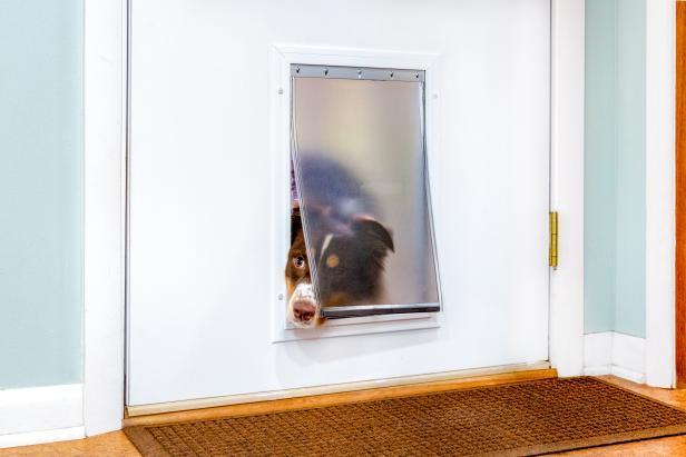 10.-How-To-Install-A-Dog-Door-In-A-Metal-Door