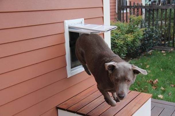 11-DIY-Dog-Door-Installation