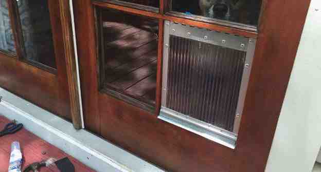 16-DIY-Window-Pane-Dog-Door