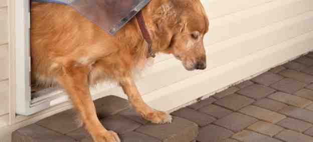 18-How-To-Build-A-Large-Dog-Door