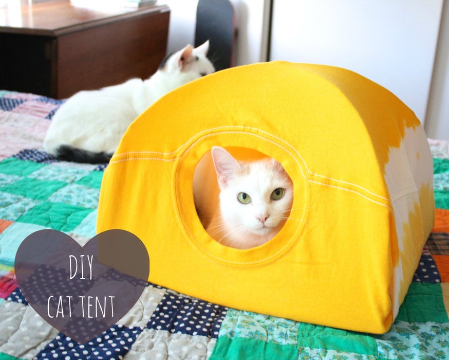 2-Indoor-Cat-Tent