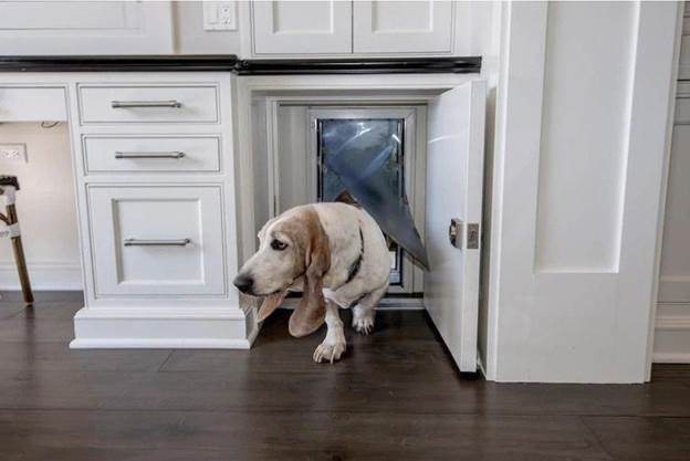 20-How-To-Build-A-Hidden-Cabinet-Doggy-Door