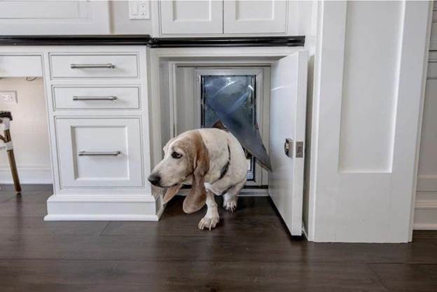 20-How-To-Build-A-Hidden-Cabinet-Doggy-Door