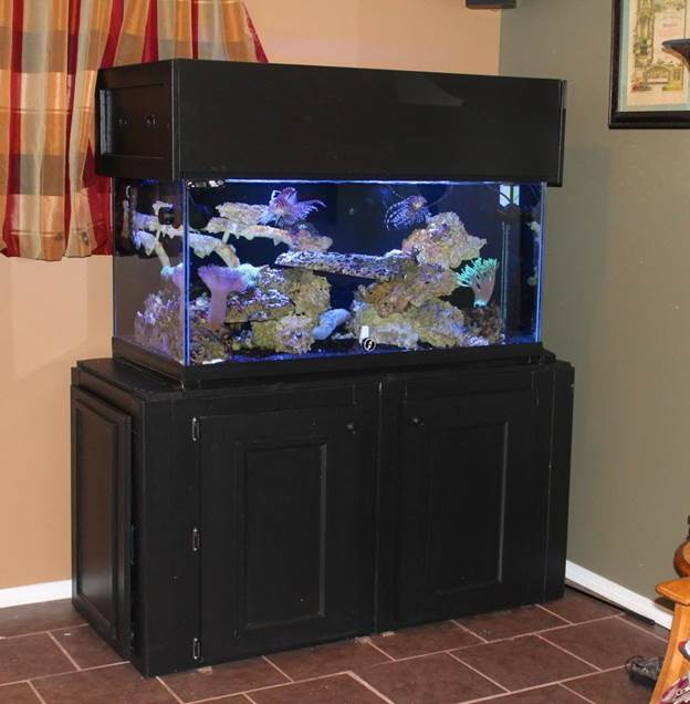 5-Building-An-Aquarium-Stand