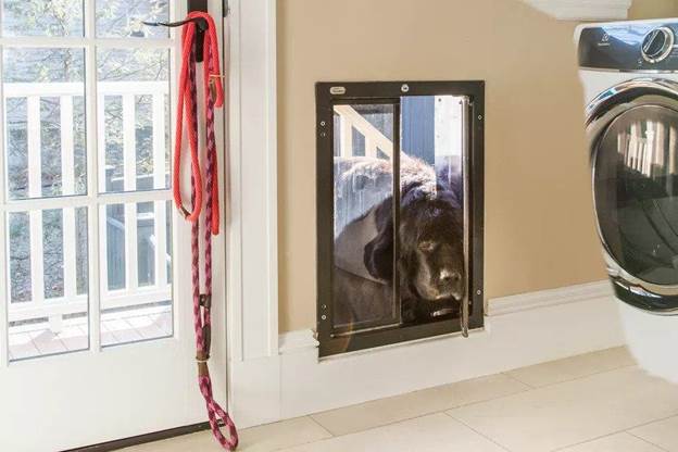 6-How-To-Make-A-Dog-Door-In-A-Wall