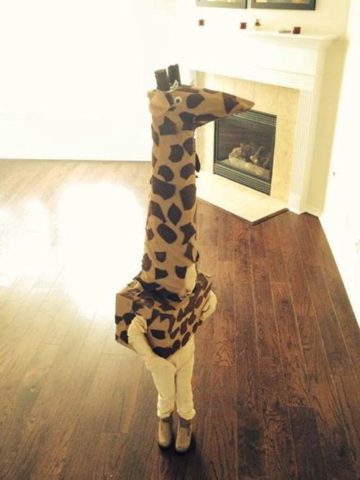 DIY Giraffe Costume Ideas