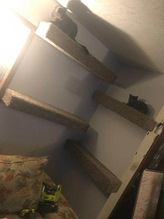 17-Floating-Cat-Shelves-DIY