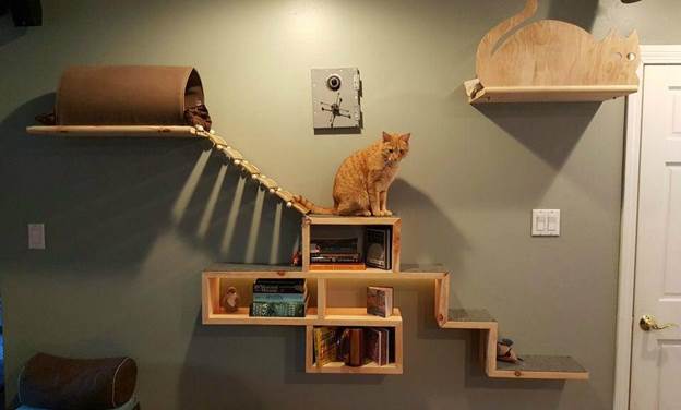 18-DIY-Cat-Adventure-And-Escape-Wall