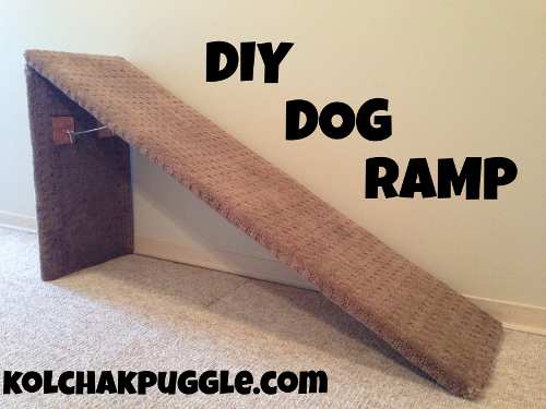 19. Collapsible Dog Ramp