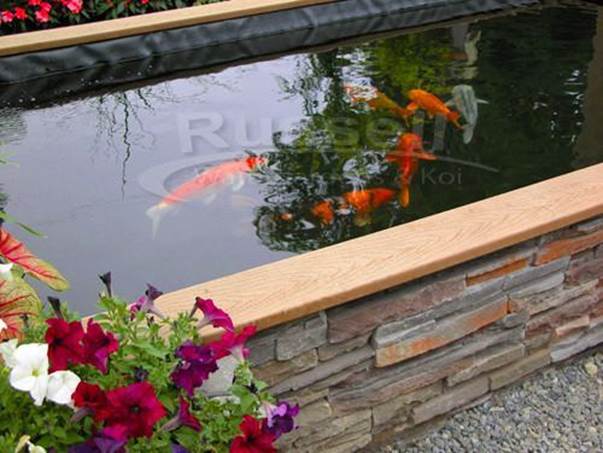 2-Building-A-Koi-Pond