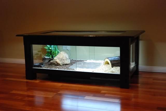 5. Aussie & Python DIY Reptile Enclosure Plan