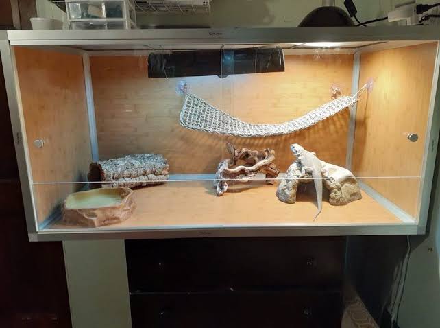 7. Bearded Dragon DIY Reptile Enclosure Plan