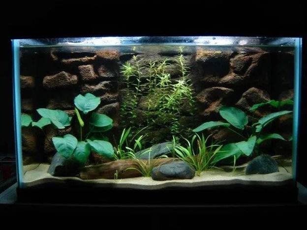 7. How To Make A Fish Tank Background