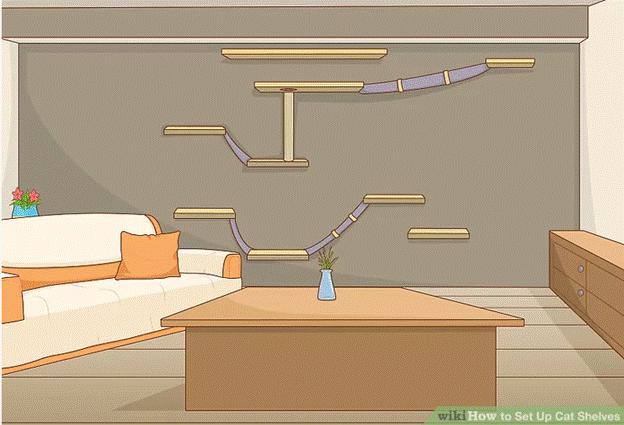 8-How-To-Set-Up-Cat-Shelves