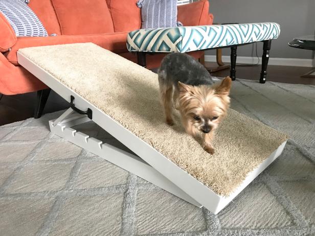 9. Adjustable Dog Ramp