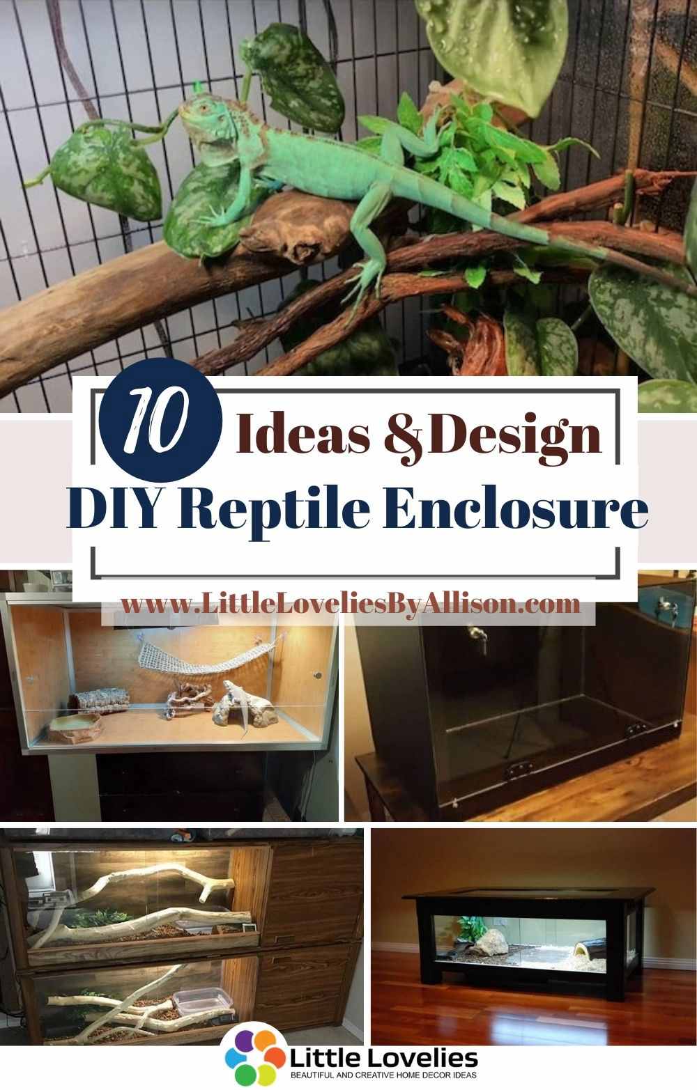 Best-DIY-Reptile-Enclosure-Plans