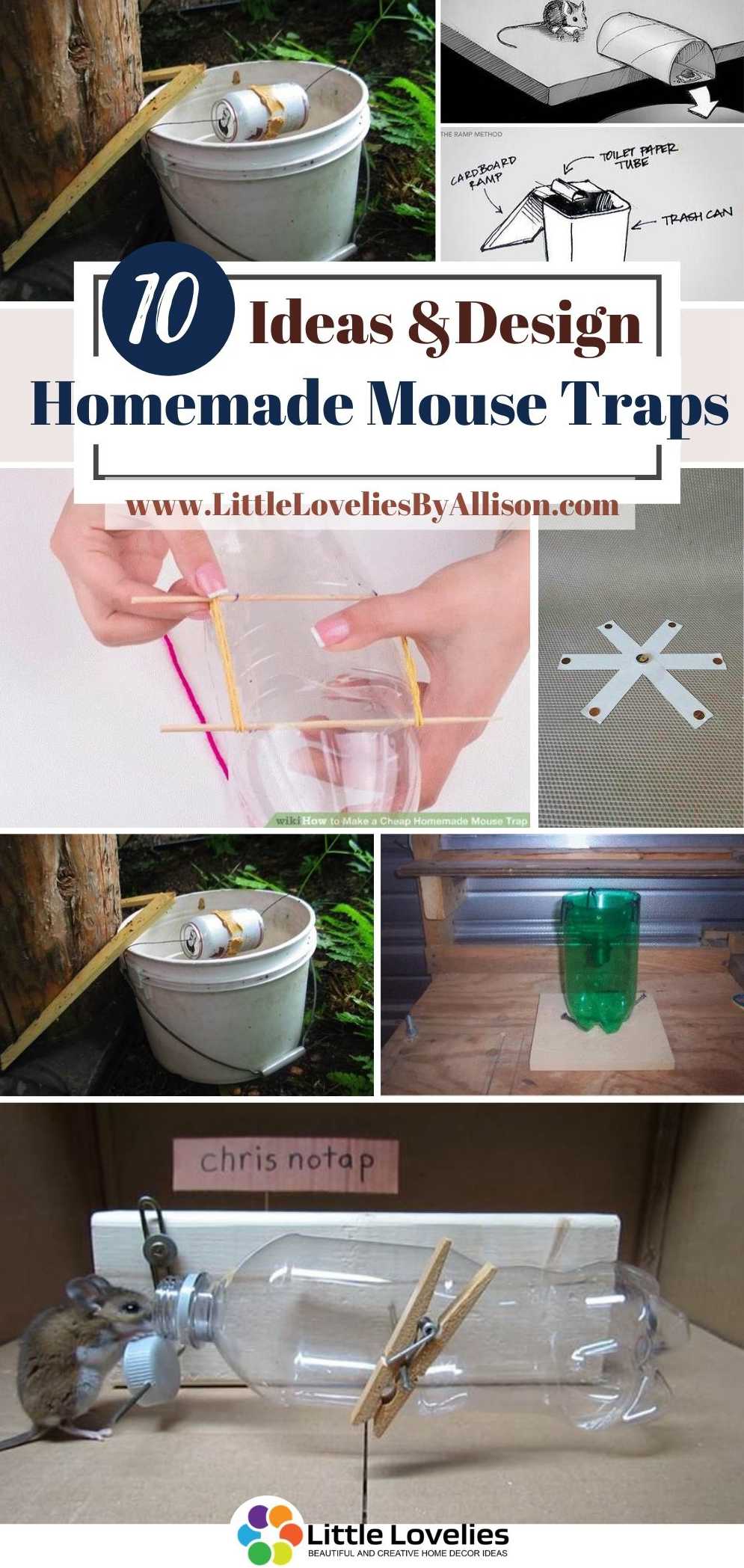 Best-Homemade-Mouse-Traps