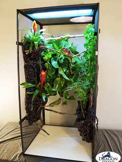 Homemade Chameleon Cage Ideas