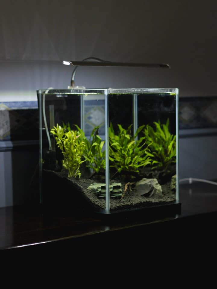 22 DIY Aquarium Projects And How To Make From Home