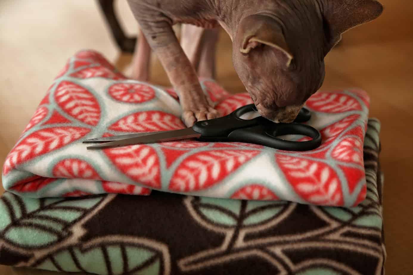 5. DIY No-Sew Cat Bed