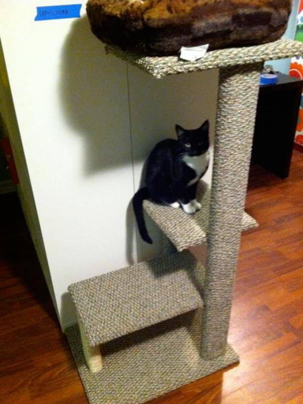 1. How To Build A DIY Cat Tree