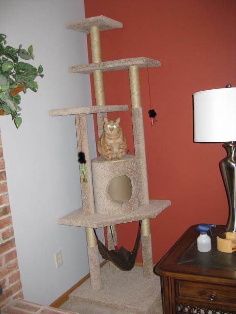 10. How To Make A Cat Tree From Hom