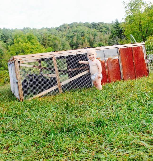 11. DIY Chicken Tractor For Less Than $200