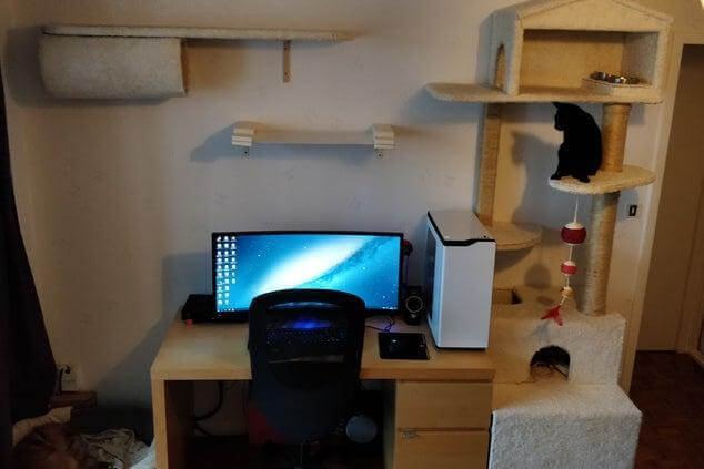 12. DIY Cat Tree Near Desktop