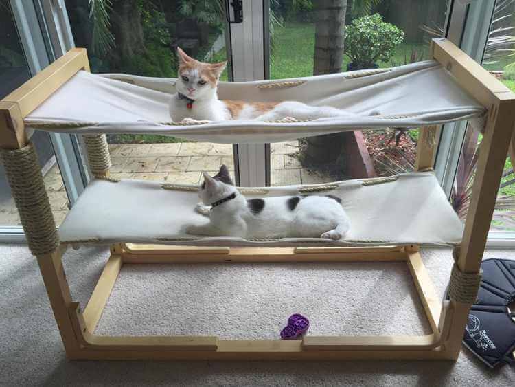 13. Build Bunk Bed Hammock For Cats