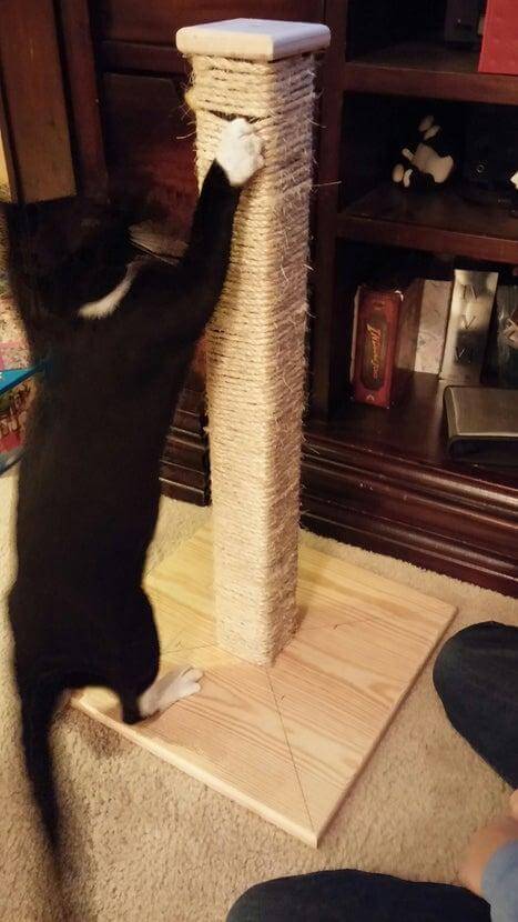 15. Cat Scratching Post DIY