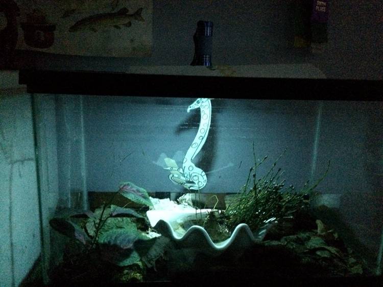 15. DIY Simple Aquarium Light