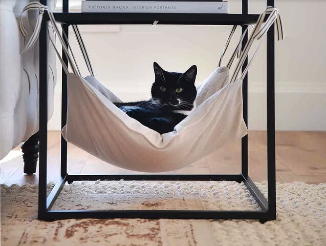 16. Cat Hammock DIY