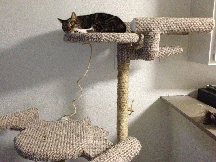 19. DIY Star Trek Cat Tree