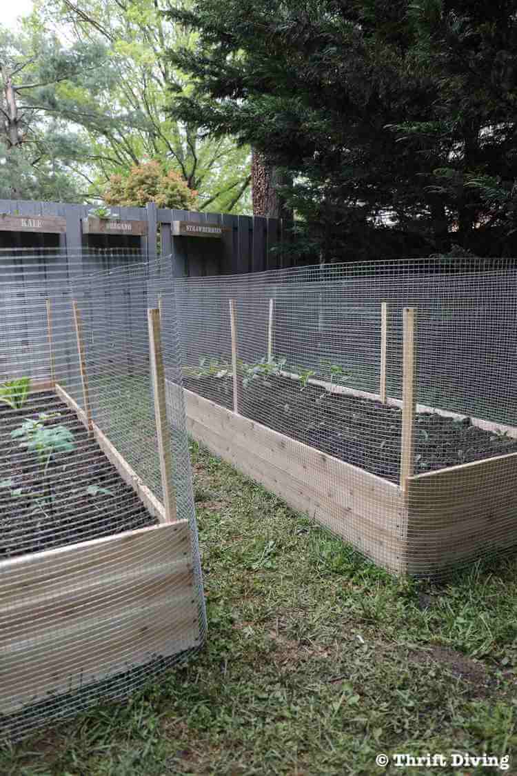 19. How to Build a DIY Raised Garden Bed