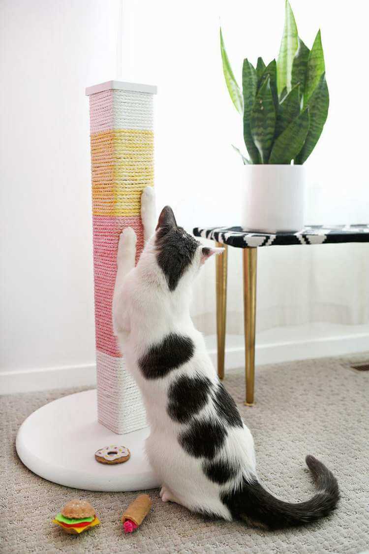 21. Colorblocked Cat Scratching Post