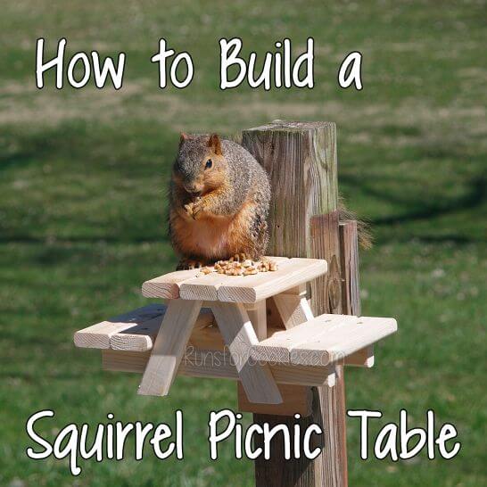 24. How To Build A Squirrel Picnic Table