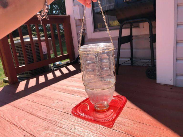 6. DIY Cheap Hummingbird Feeder