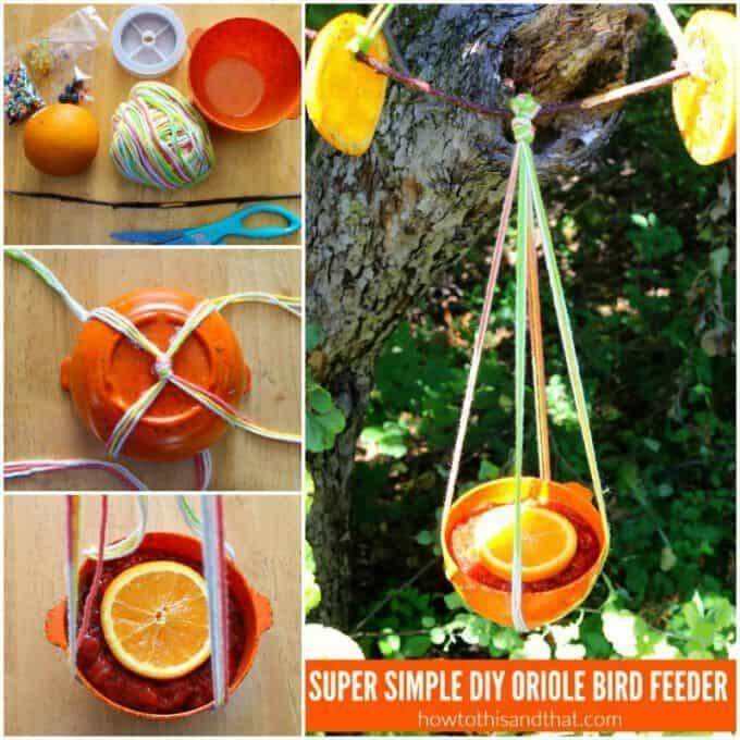 6. DIY Oriole Bird Feeder