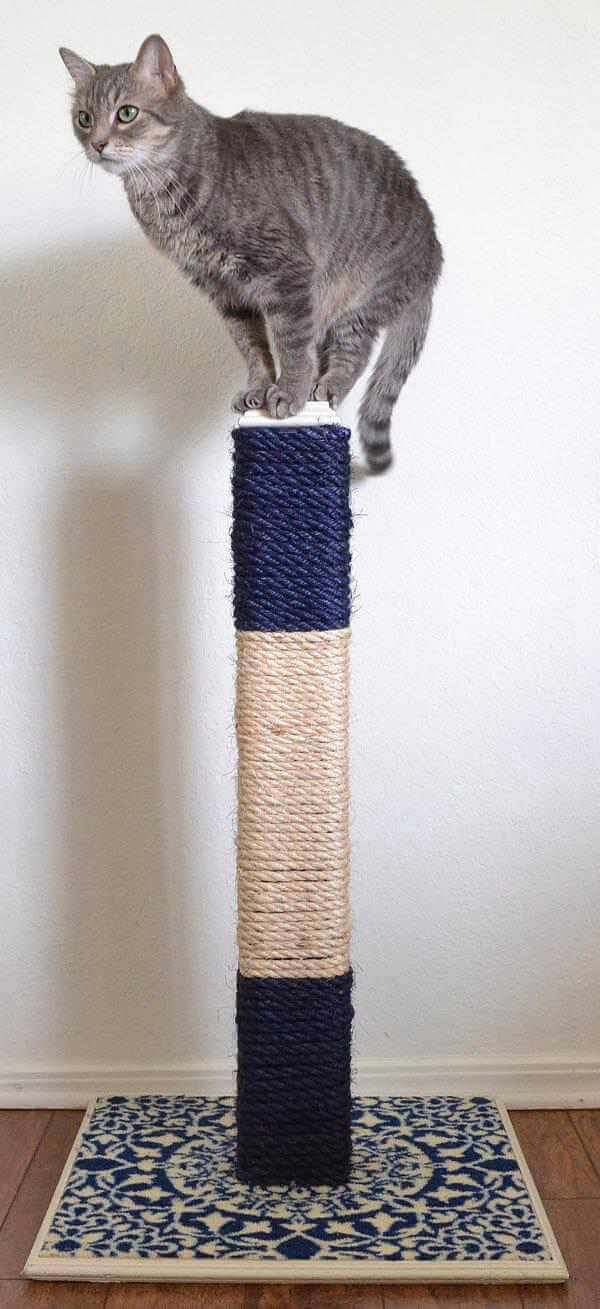 6. Durable Cat Scratching Post