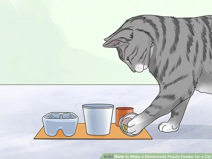 7. How To Make A Homemade Puzzle Feeder For Cat