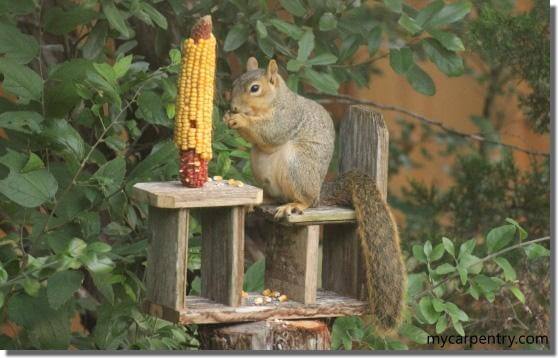 8. DIY Squirrel Feeder